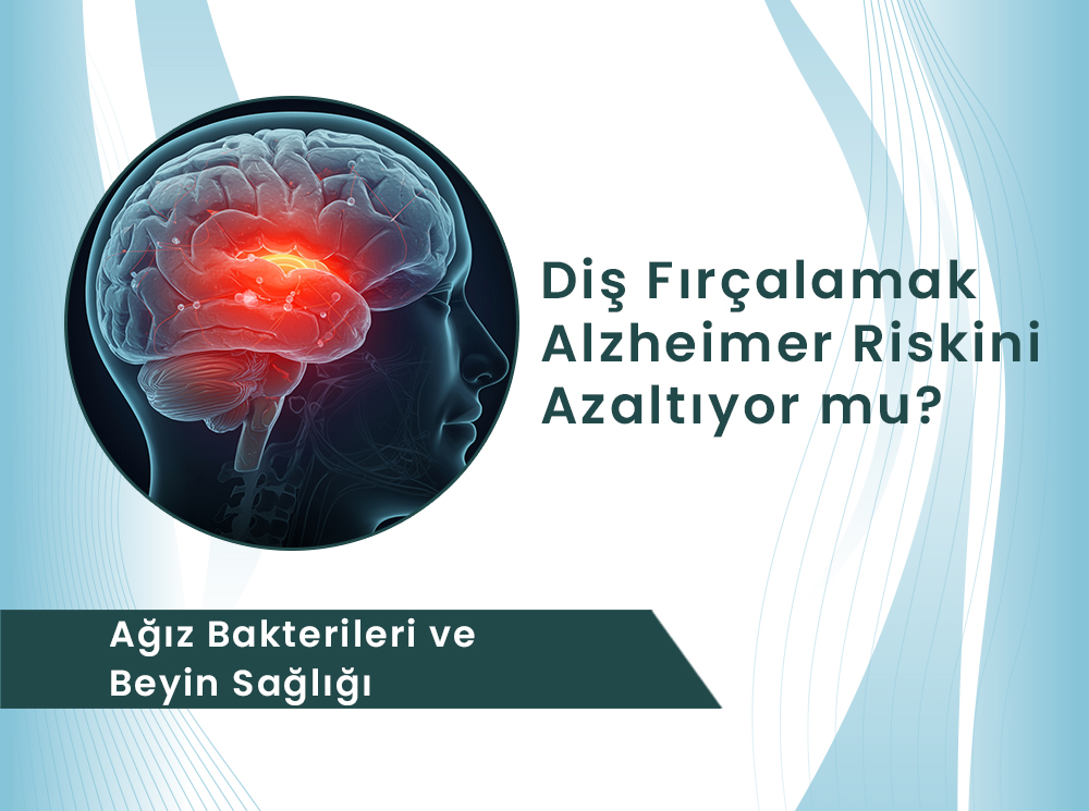 Diş Fırçalamak Alzheimer Riskini Azaltıyor mu? Bilim Ne Diyor?
